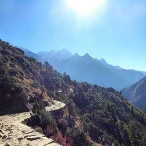 Meet your Posher, Sally